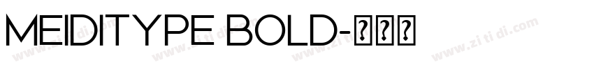 MEIDITYPE BOLD字体转换